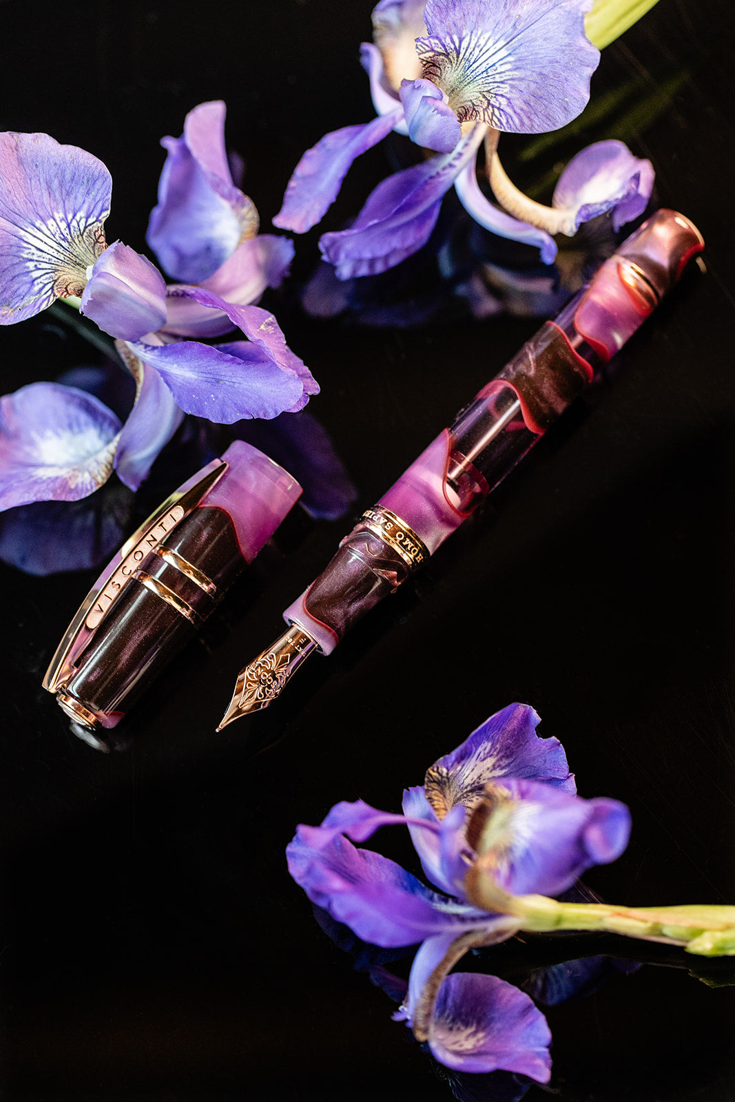 Visconti Homo Sapiens Iris Garden Fountain Pen (Limited Edition)