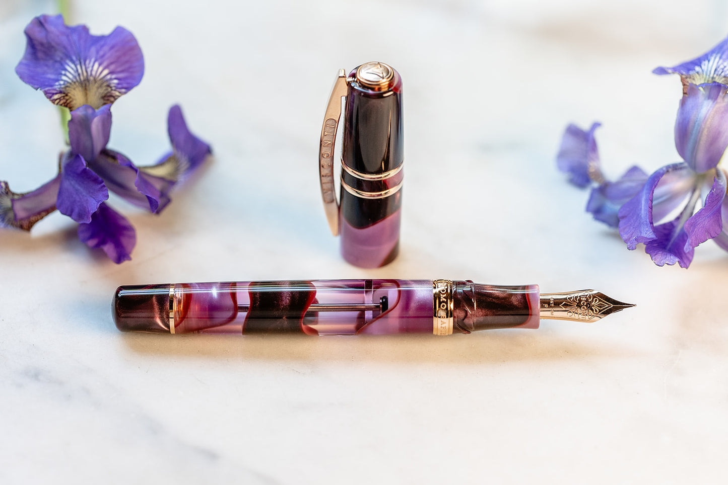Visconti Homo Sapiens Iris Garden Fountain Pen (Limited Edition)