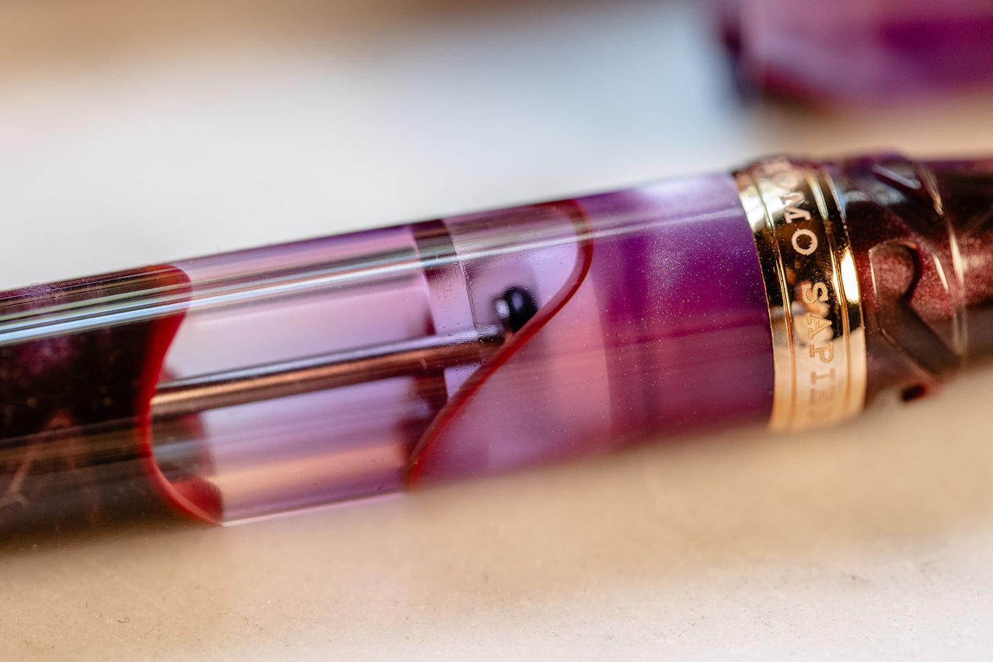 Visconti Homo Sapiens Iris Garden Fountain Pen (Limited Edition)