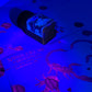 Noodler's Valentine Texas Bottled Ink - Dromgoole's Exclusive