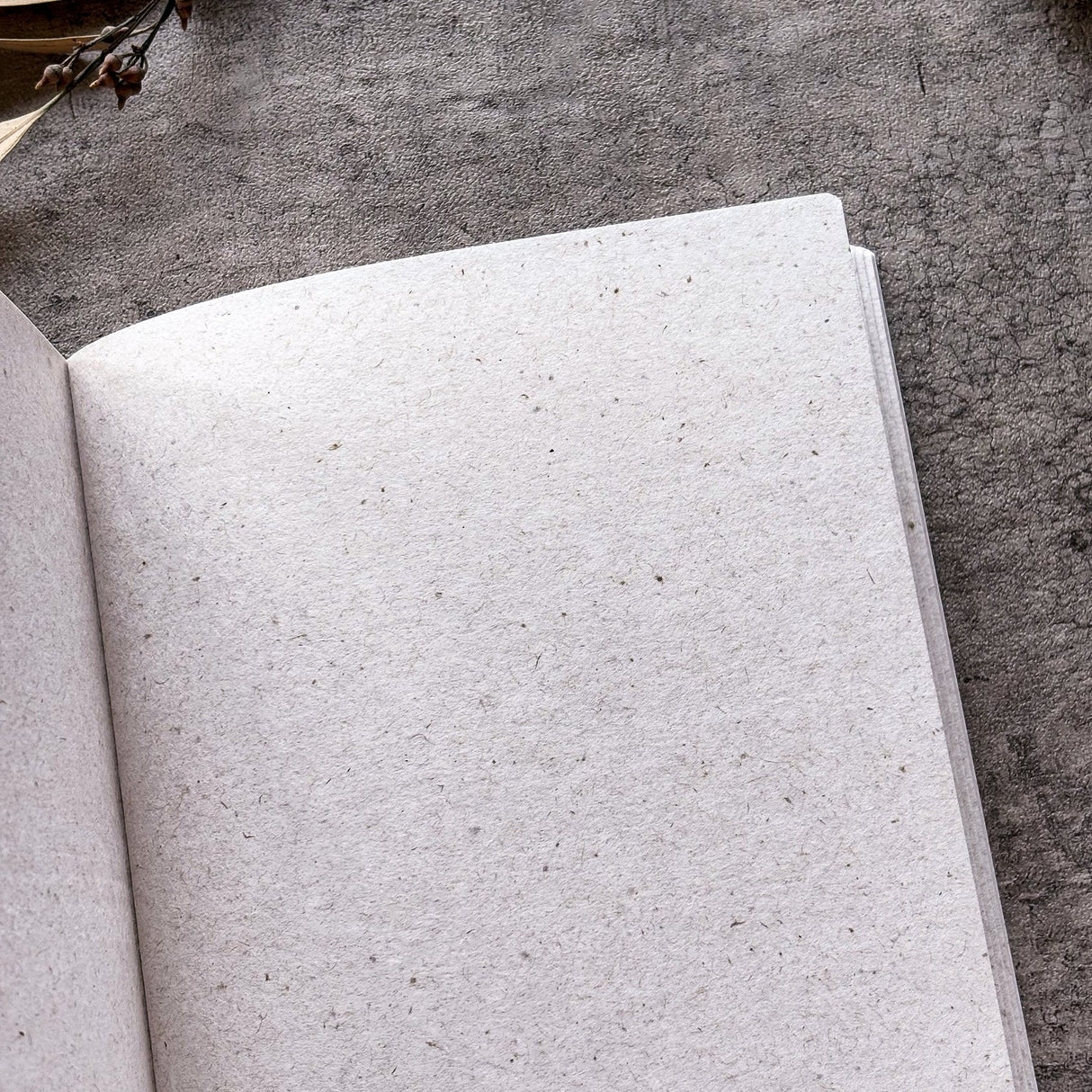 Yoshikawa Paper x Eric x CTFJ A5 Notebook - wakami sutenai (Houston Exclusive)
