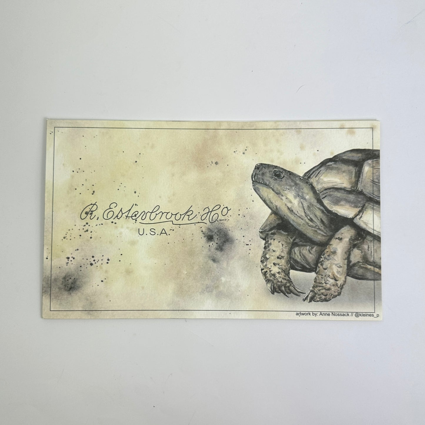 Esterbrook Blotter Paper - Nature Set