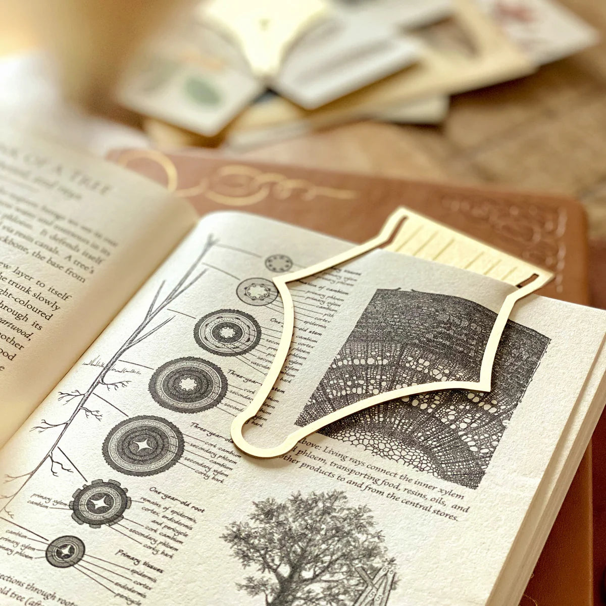 Esterbrook Bookmarker - Nib