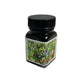 Noodler's Giant Texas Katydid (GTK) Bottled Ink - Dromgoole's Exclusive