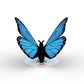 Lovepop Stickerpop™ - Blue Morpho (1-Pack)
