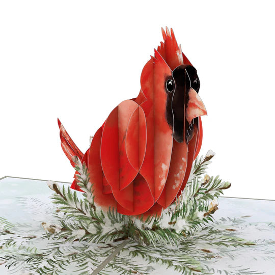 Lovepop Pop-Up Card - Winter Cardinal