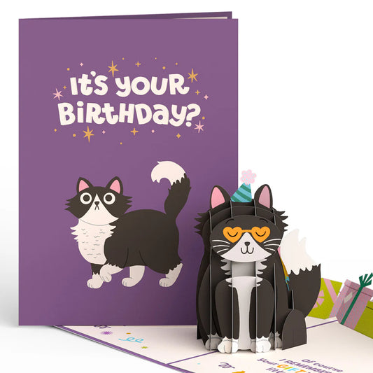 Lovepop Pop-Up Card - Your Gift Is In The Litterbox Birthday Cat