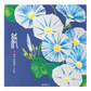 Midori Letterpad - Morning Glory (Silk Printing)