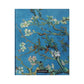 Moleskine Van Gogh Museum Collector's Box