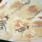 Esterbrook Blotter Paper - Nature Set