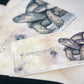 Esterbrook Blotter Paper - Nature Set