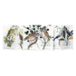 Field Notes Quarterly Edition Notebook - Birds and Trees of North America Series A: Screech Owl, Blue Jay, Brewer Sparrow (3-Pack)