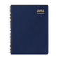 Payne 2026 Skivertex Large Time Master Planner
