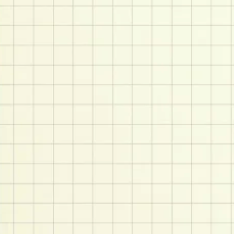 TRAVELER'S Notebook Regular 005 Free Diary