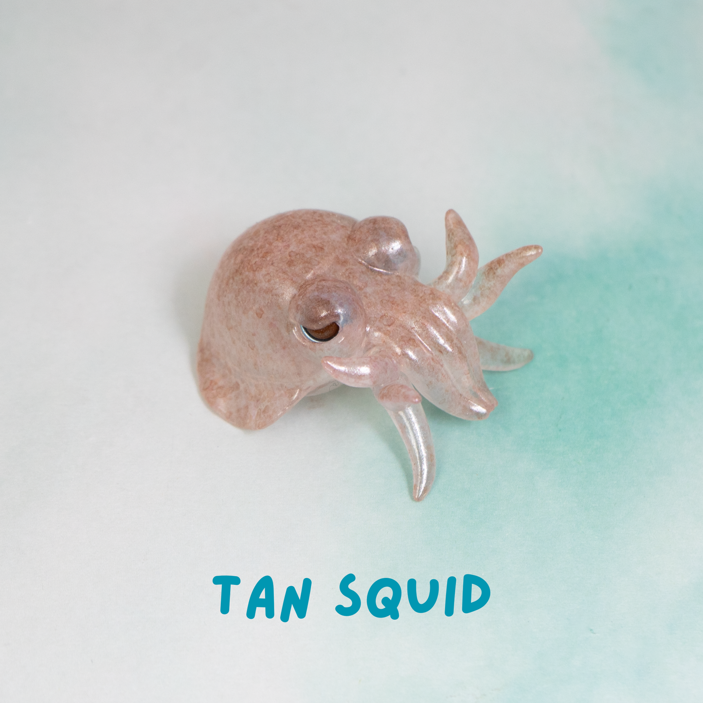 Ahnitol Squid Pen Holders