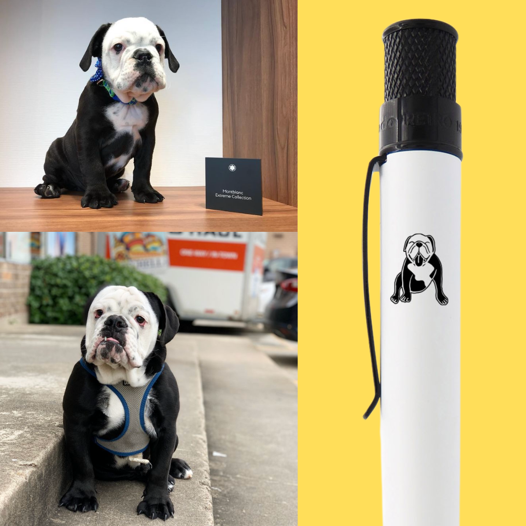 Retro 51 Tornado Rollerball - Good Boy Sheldon (Dromgoole's Exclusive)