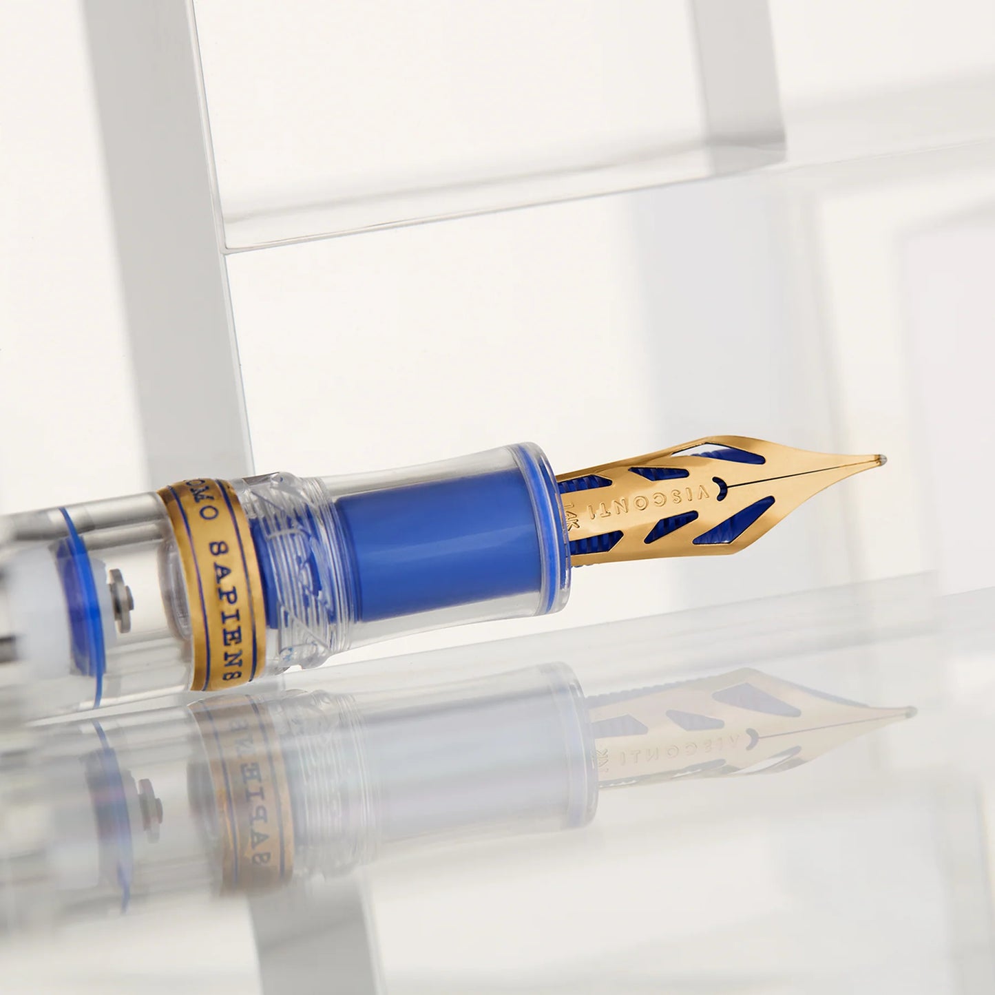 Visconti Homo Sapiens Full Demo Fountain Pen (Limited Edition)