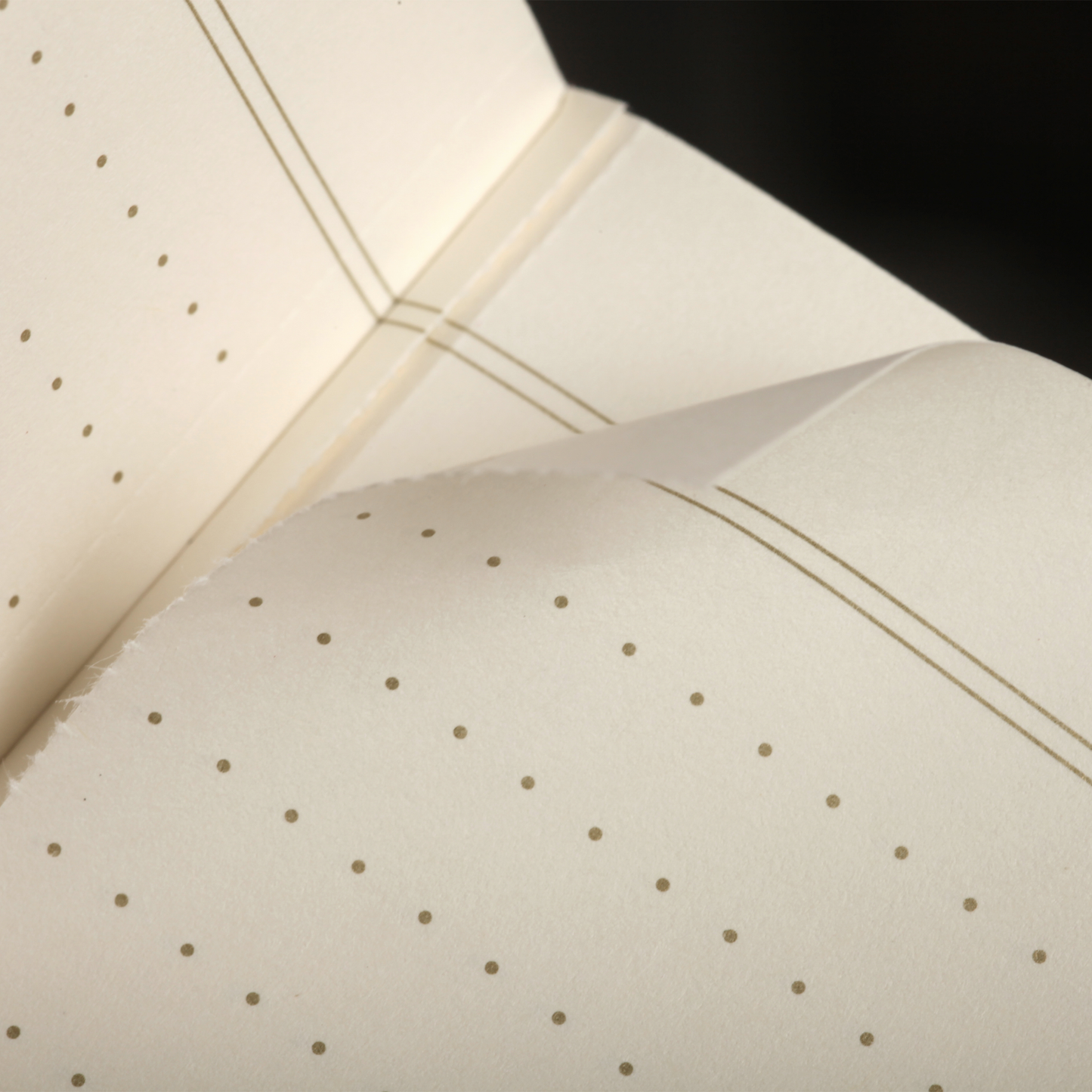 Field Notes Winter 2024 Quarterly Edition Notebook - Vintage (3-Pack)