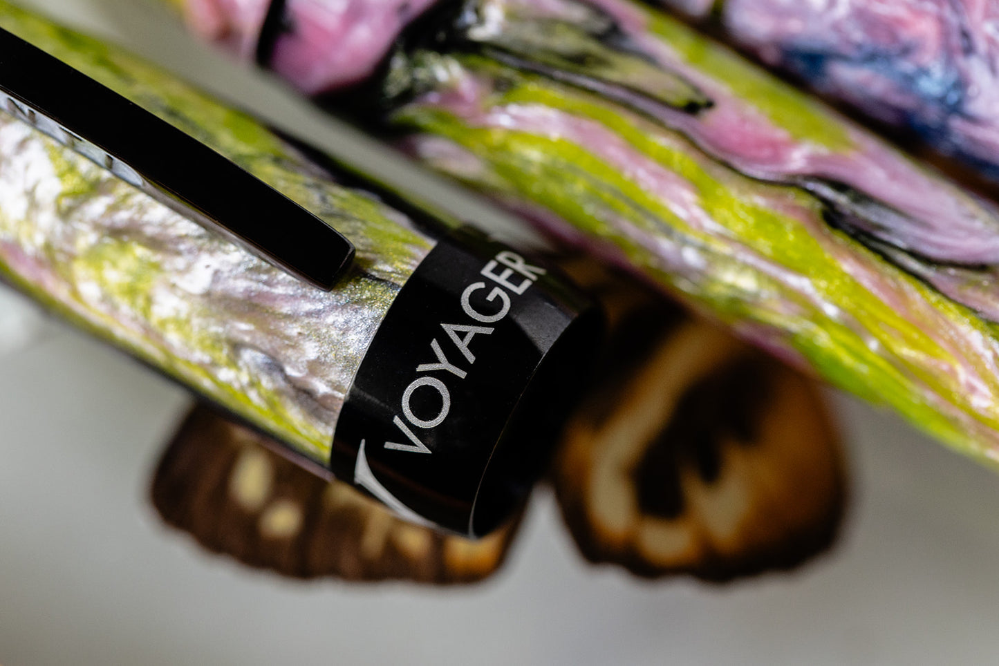 Visconti Voyager Mariposa Fountain Pen - Painted Beauty (Limited Edition)