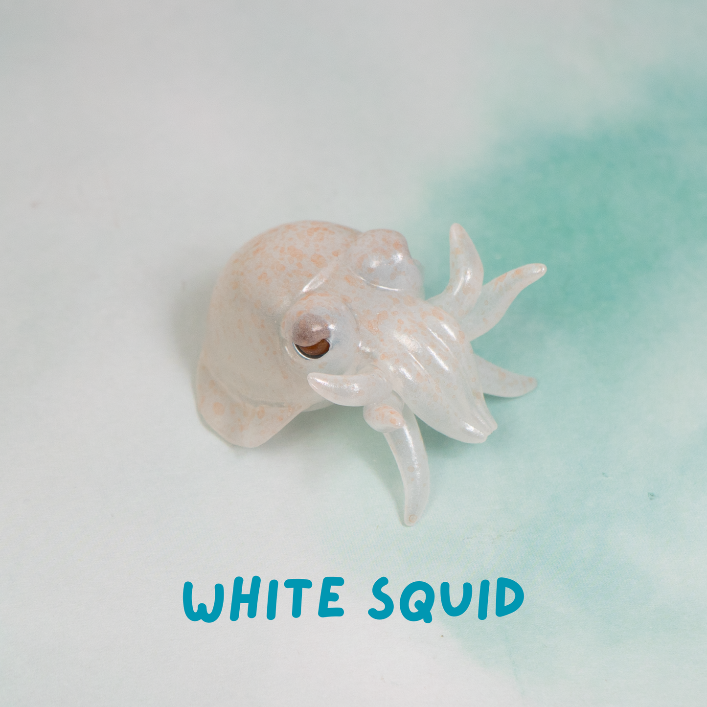 Ahnitol Squid Pen Holders