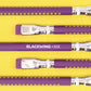 Blackwing Volume XIX 2024 - Tribute to 19th Amendment and Voting Rights Second Edition (Extra-Firm Set of 12)
