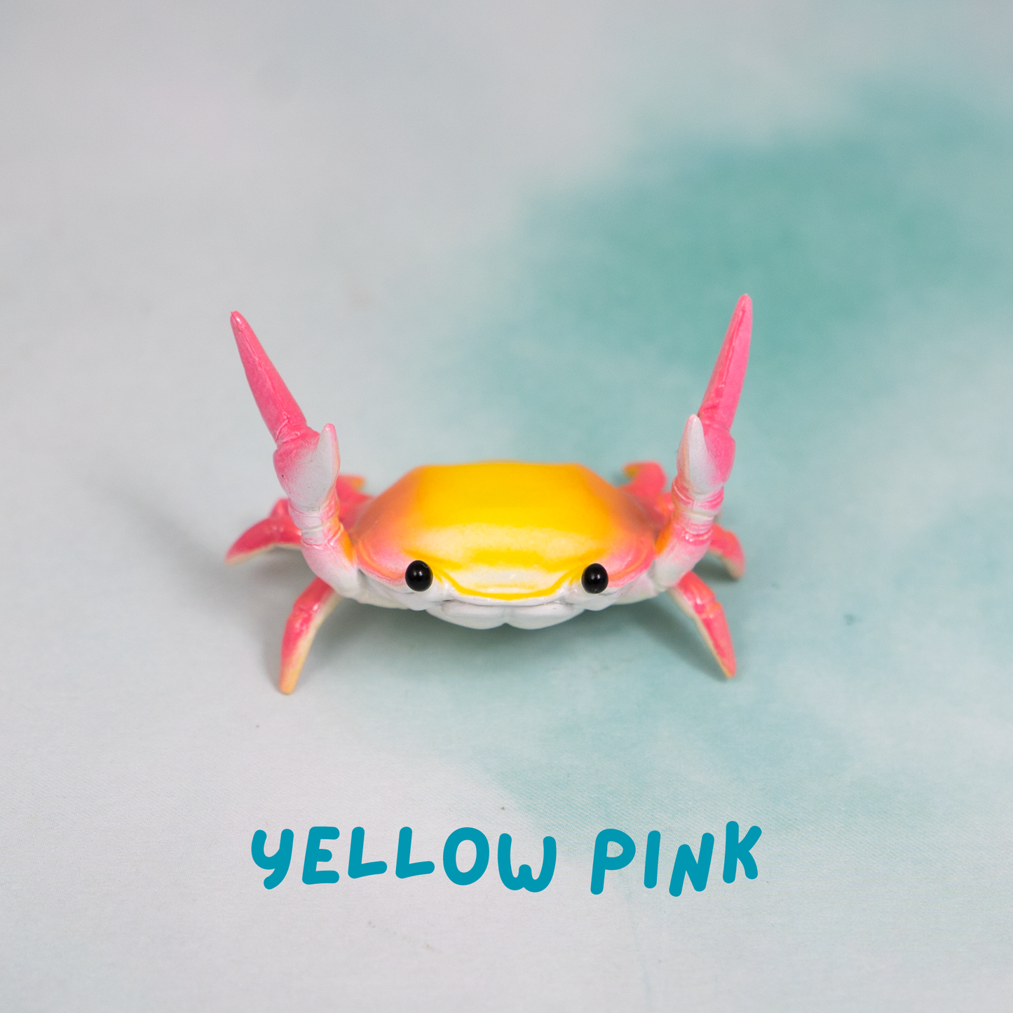 Ahnitol Crab Pen Holders
