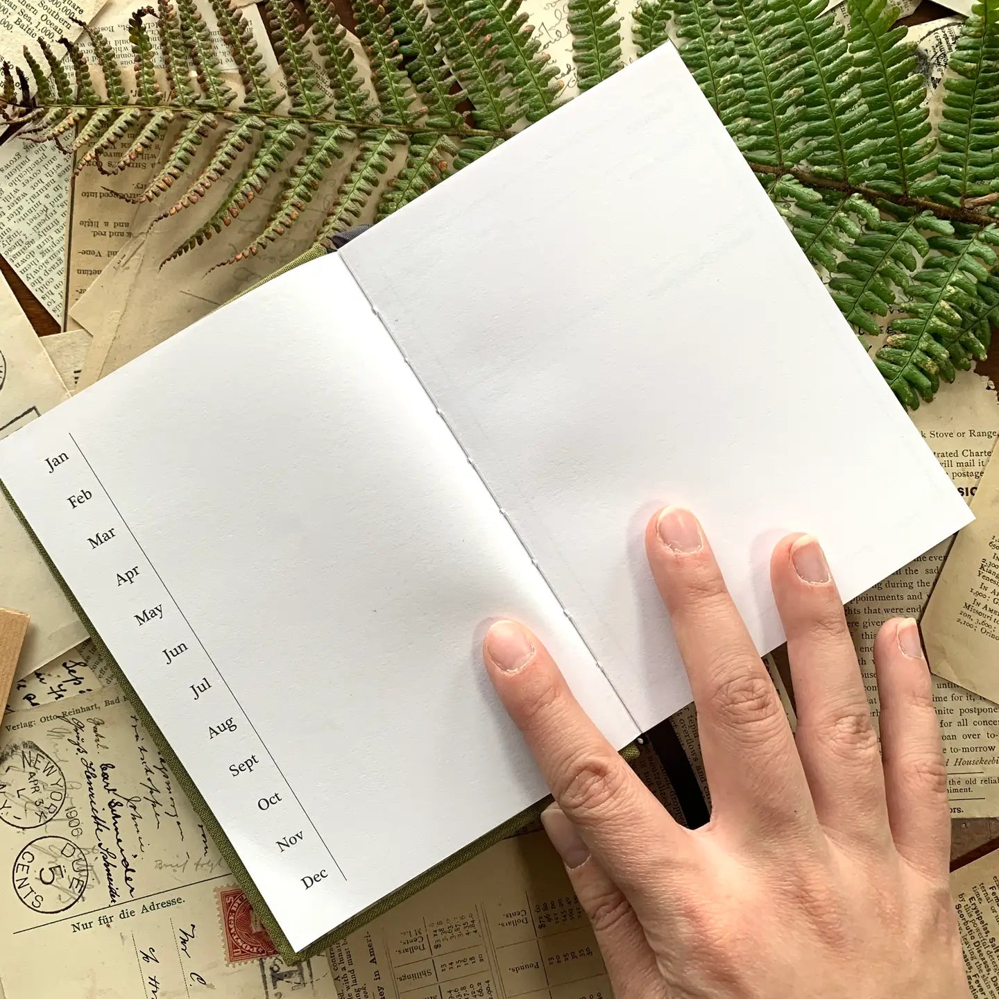 The Creeping Moon A6 Foraging Field Journal - Green