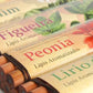 Viarco Scented Pencils - Peonia