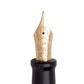Aurora Optima Fountain Pen - Black - Gold Trim