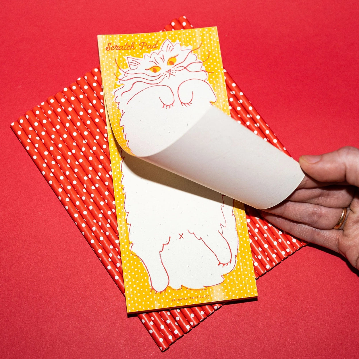 Bromstad Printing Risograph Notepad - Scratch Pad Cat