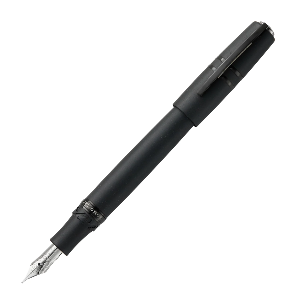 Visconti Homo Sapiens Fountain Pen - Dark Age (14K)