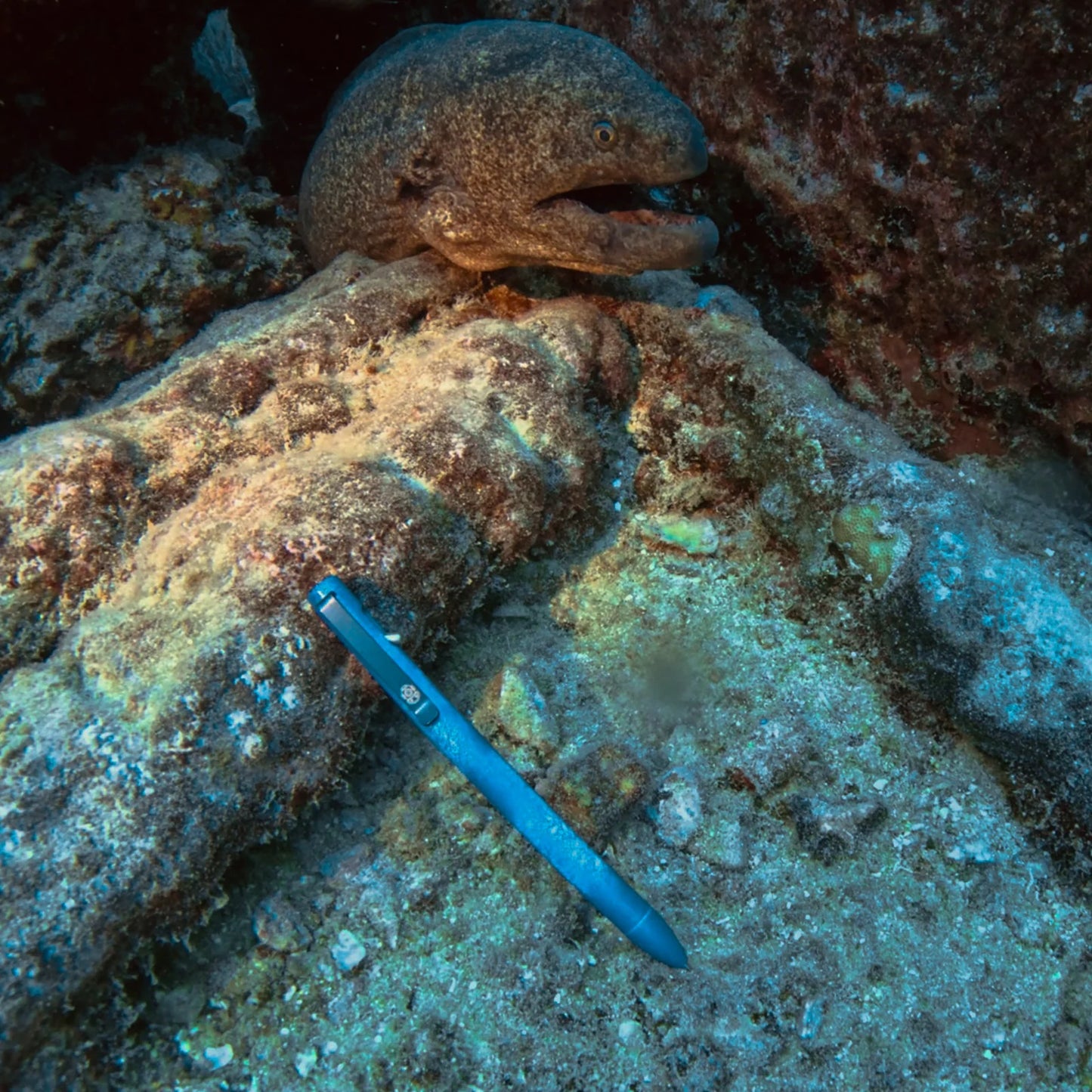 Tactile Turn Short Switch Pen -  Deep Sea (Seasonal Limited Edition)