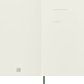 Moleskine Large Softcover Classic Ruled Notebook - Myrtle Green