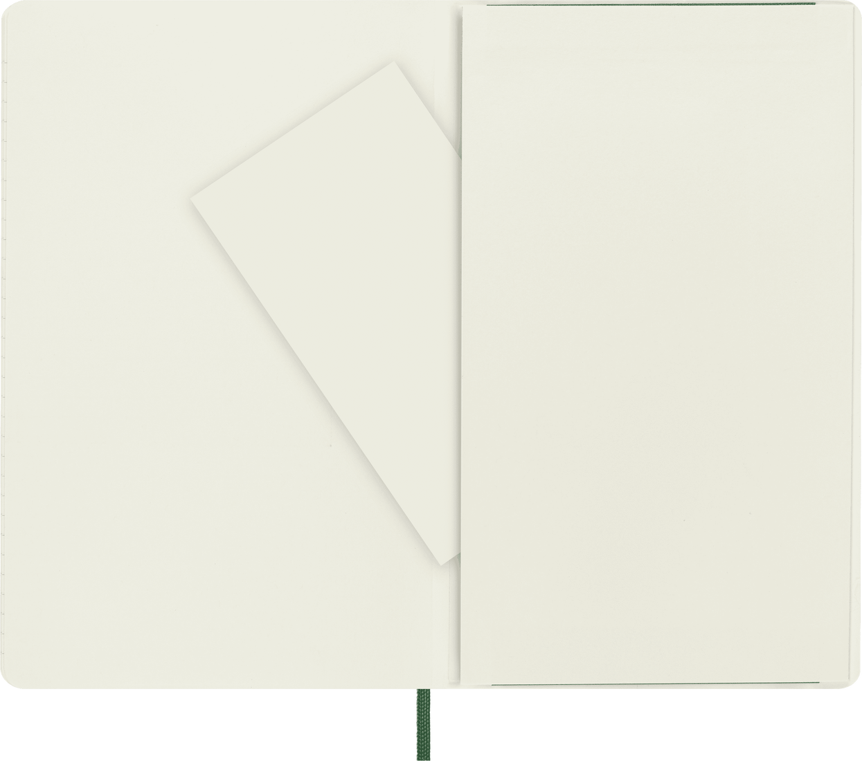 Moleskine Large Softcover Classic Ruled Notebook - Myrtle Green
