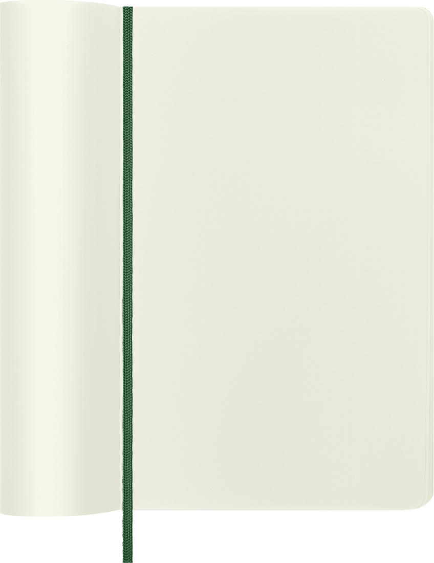 Moleskine Large Softcover Classic Plain Notebook - Myrtle Green