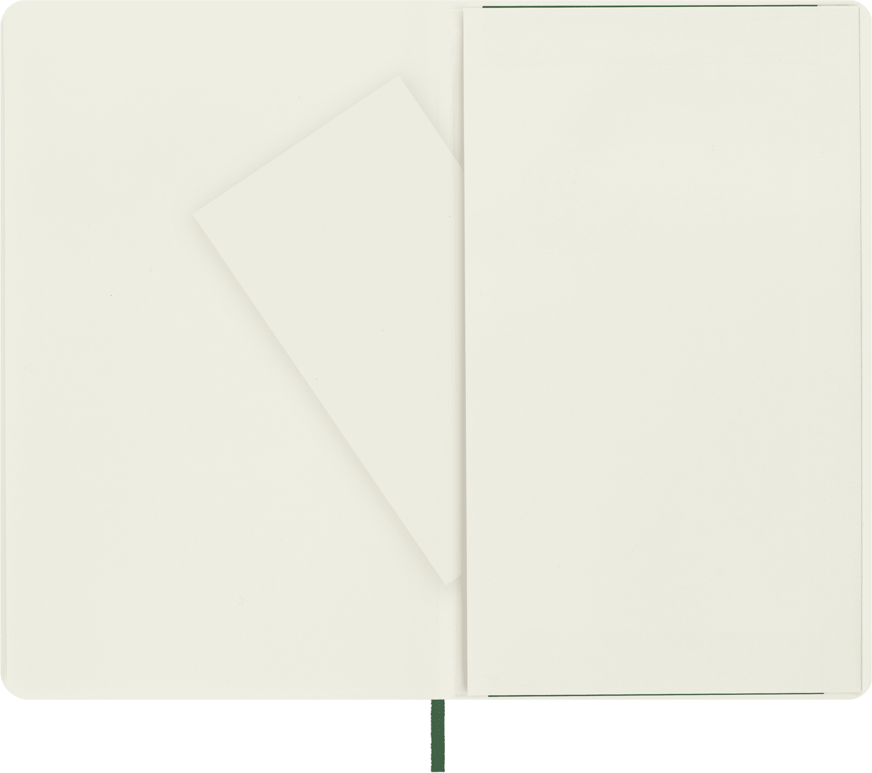 Moleskine Large Softcover Classic Plain Notebook - Myrtle Green