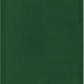 Moleskine Large Softcover Classic Plain Notebook - Myrtle Green