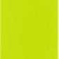 Moleskine Large Hardcover Classic Plain Notebook - Lemon Green