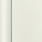 Moleskine Large Softcover Classic Ruled Notebook - Reef Blue