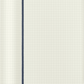 Moleskine Large Softcover Classic Squared Notebook - Sapphire Blue