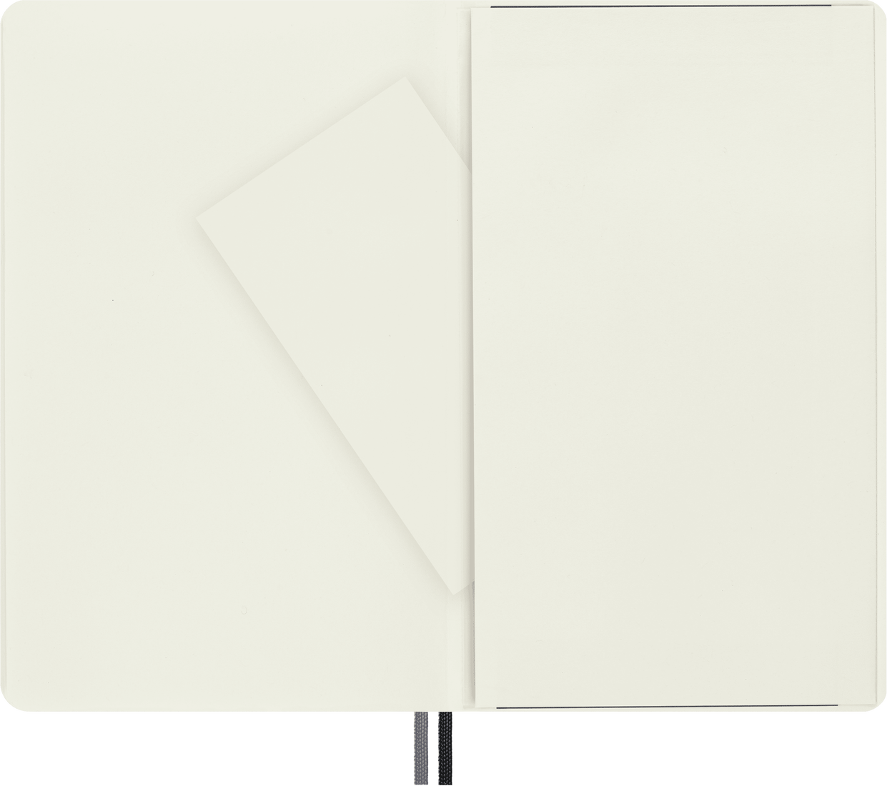 Moleskine Large Softcover Classic Expanded Plain Notebook - Black