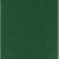 Moleskine Pocket Hardcover Classic Ruled Notebook - Myrtle Green