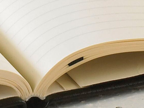 Quo Vadis Habana Dotted Notebook - Anise Green (6"x9")
