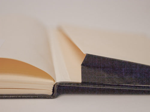 Quo Vadis Habana Dotted Notebook - Anise Green (6"x9")
