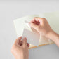 Midori 2026 Diary Sticker - S