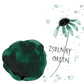 Kuretake Zsolnay Green Ink-Cafe Bottled Ink (20ml) - Art Nouveau