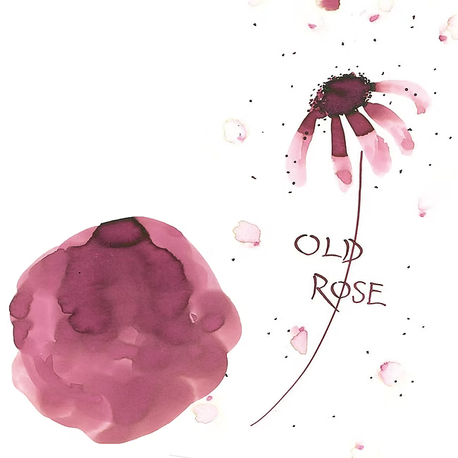Kuretake Old Rose Ink-Cafe Bottled Ink (20ml) - Art Nouveau