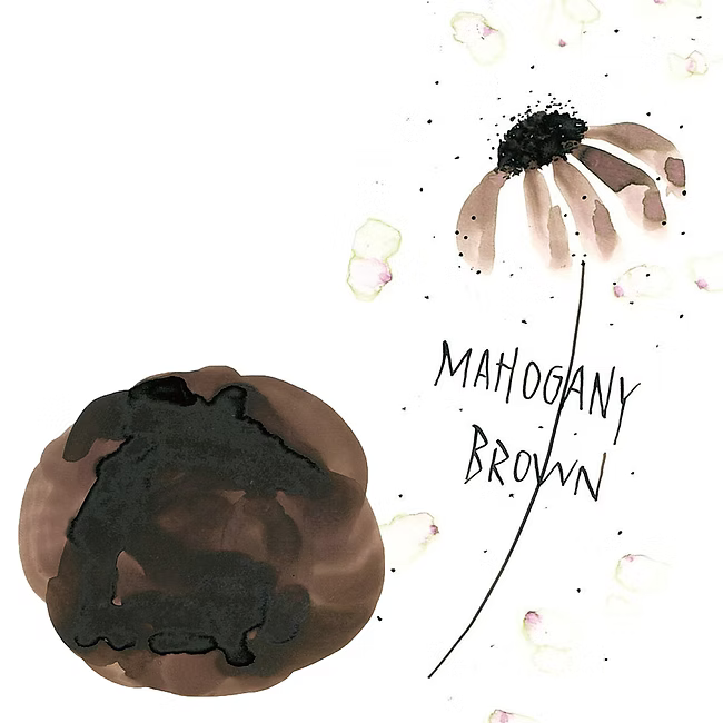 Kuretake Mahogany Brown Ink-Cafe Bottled Ink (20ml) - Art Nouveau