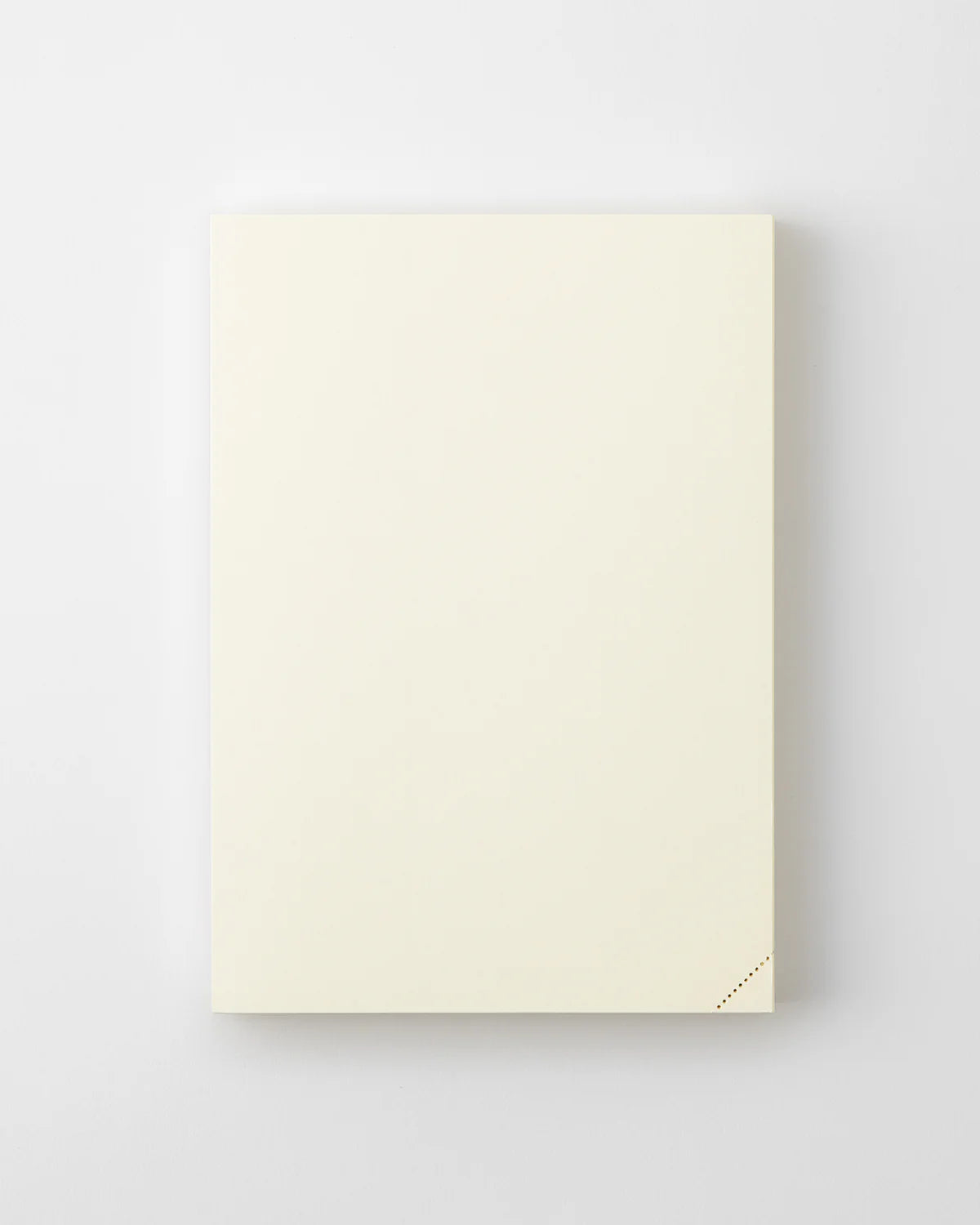 Midori MD Product A5 Codex 1 Day 1 Page Notebook - Blank