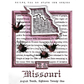 Sailor USA 50 States - Missouri (20ml) Bottled Ink